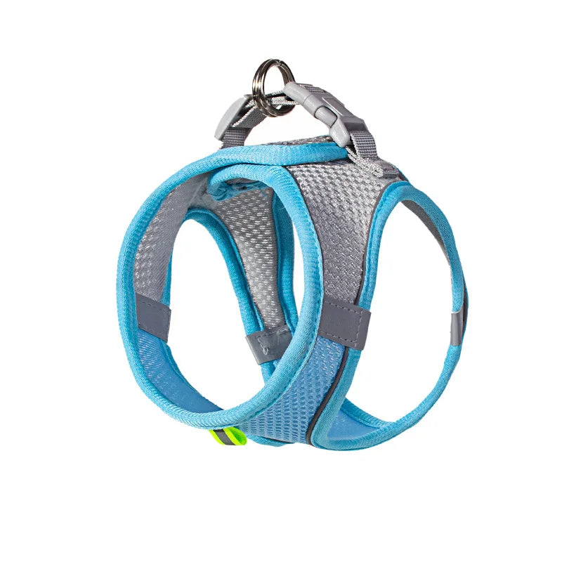 Adjustable Mesh Puppy Harness & Leash Set