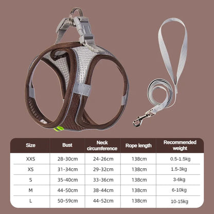 Adjustable Mesh Puppy Harness & Leash Set