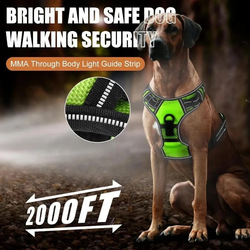 Illuminate Your Night Walks with Our LED Glowing Dog Harness - Three Light Modes for Ultimate Safety!