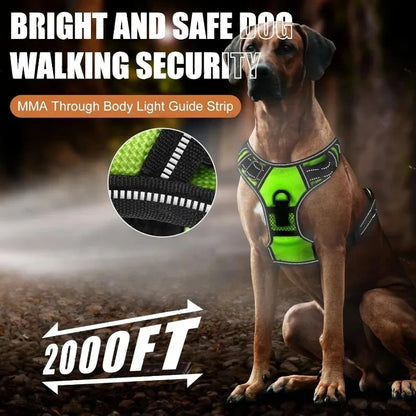 Illuminate Your Night Walks with Our LED Glowing Dog Harness - Three Light Modes for Ultimate Safety!