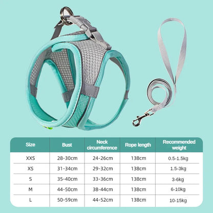 Adjustable Mesh Puppy Harness & Leash Set