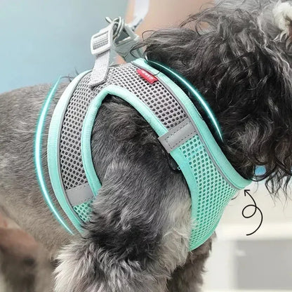 Adjustable Mesh Puppy Harness & Leash Set