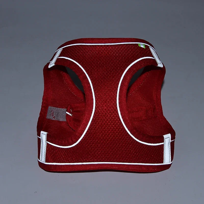 Adjustable Mesh Puppy Harness & Leash Set