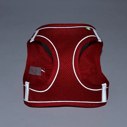Adjustable Mesh Puppy Harness & Leash Set