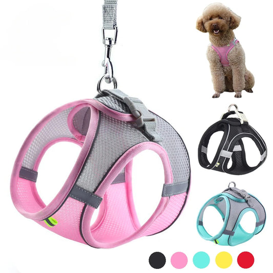 Adjustable Mesh Puppy Harness & Leash Set