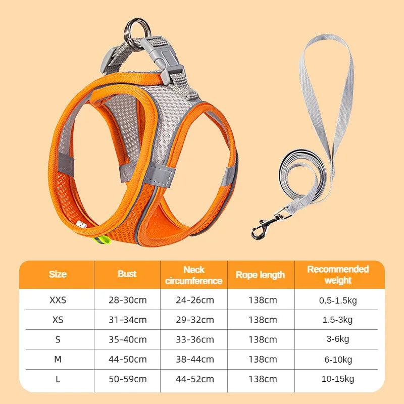 Adjustable Mesh Puppy Harness & Leash Set
