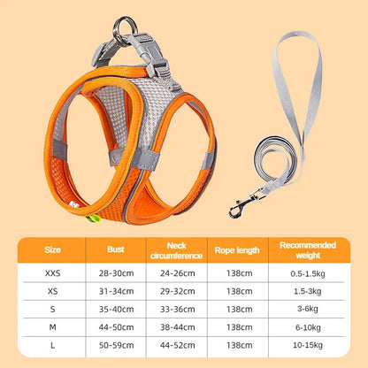 Adjustable Mesh Puppy Harness & Leash Set