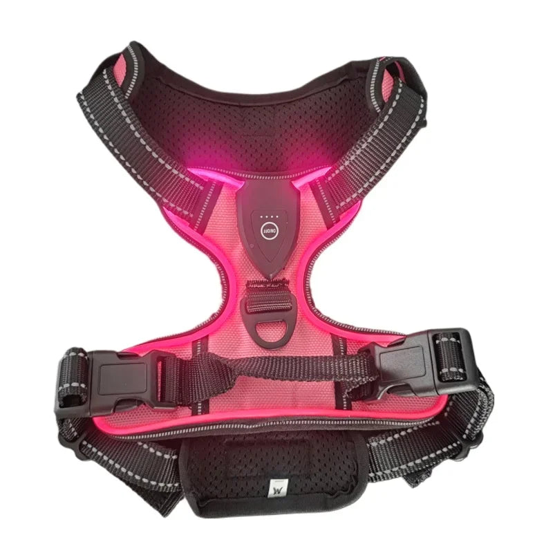 A Safer Way to Walk After Dark LED Dog Harness