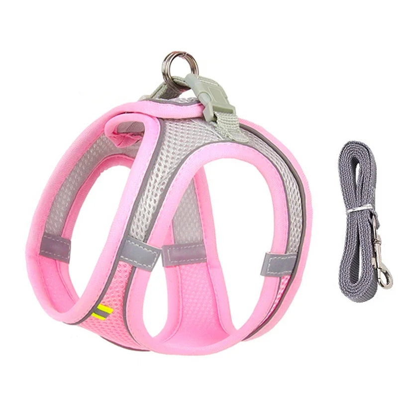 Adjustable Mesh Puppy Harness & Leash Set