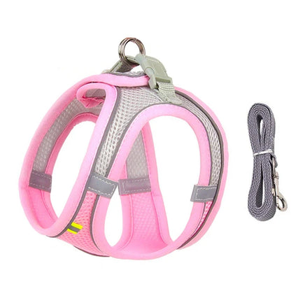 Adjustable Mesh Puppy Harness & Leash Set