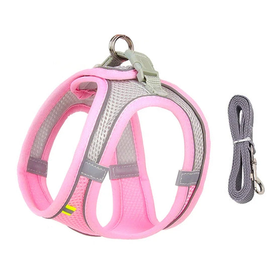 Adjustable Mesh Puppy Harness & Leash Set