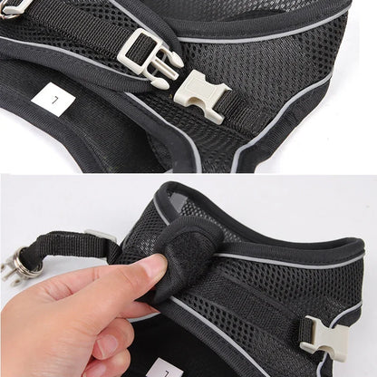 Adjustable Mesh Puppy Harness & Leash Set