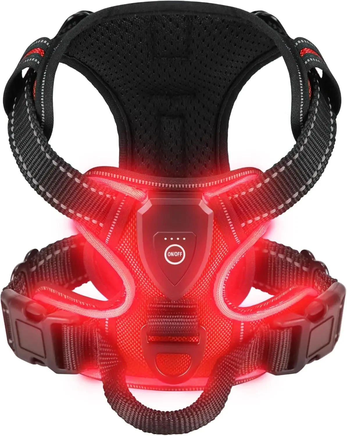 A Safer Way to Walk After Dark LED Dog Harness