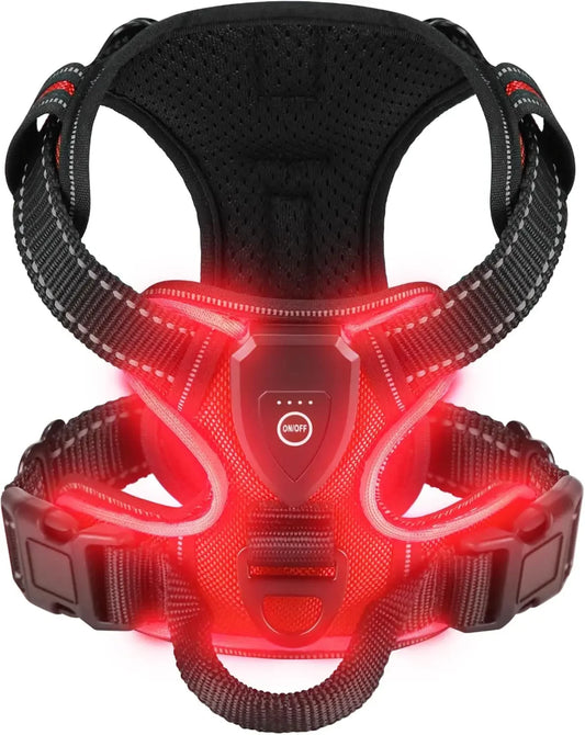 A Safer Way to Walk After Dark LED Dog Harness