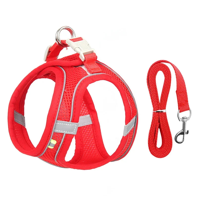 Adjustable Mesh Puppy Harness & Leash Set