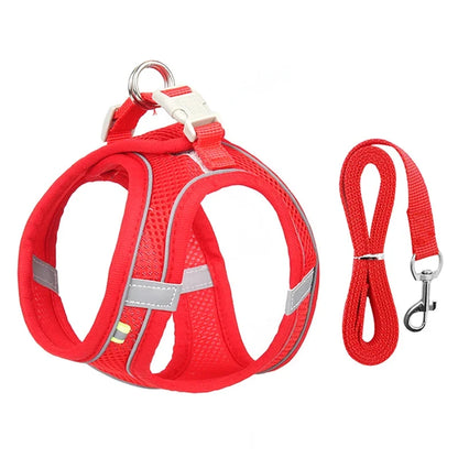 Adjustable Mesh Puppy Harness & Leash Set