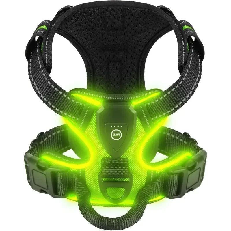 A Safer Way to Walk After Dark LED Dog Harness