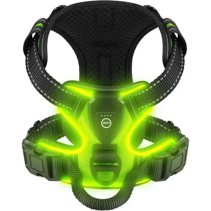 A Safer Way to Walk After Dark LED Dog Harness
