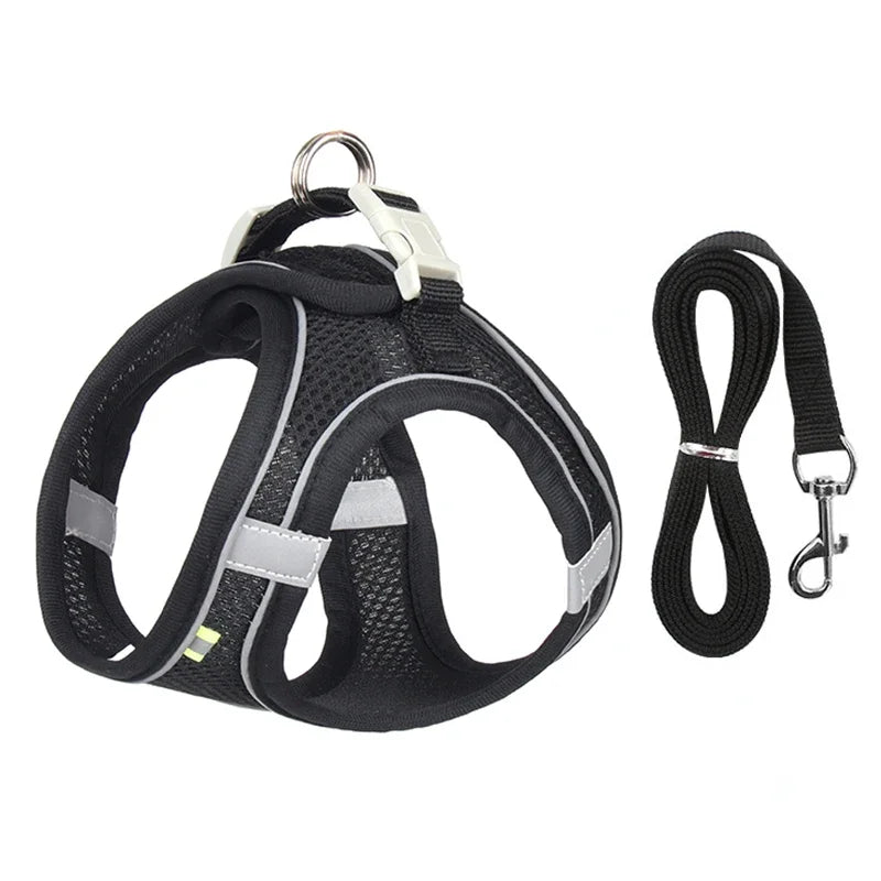 Adjustable Mesh Puppy Harness & Leash Set