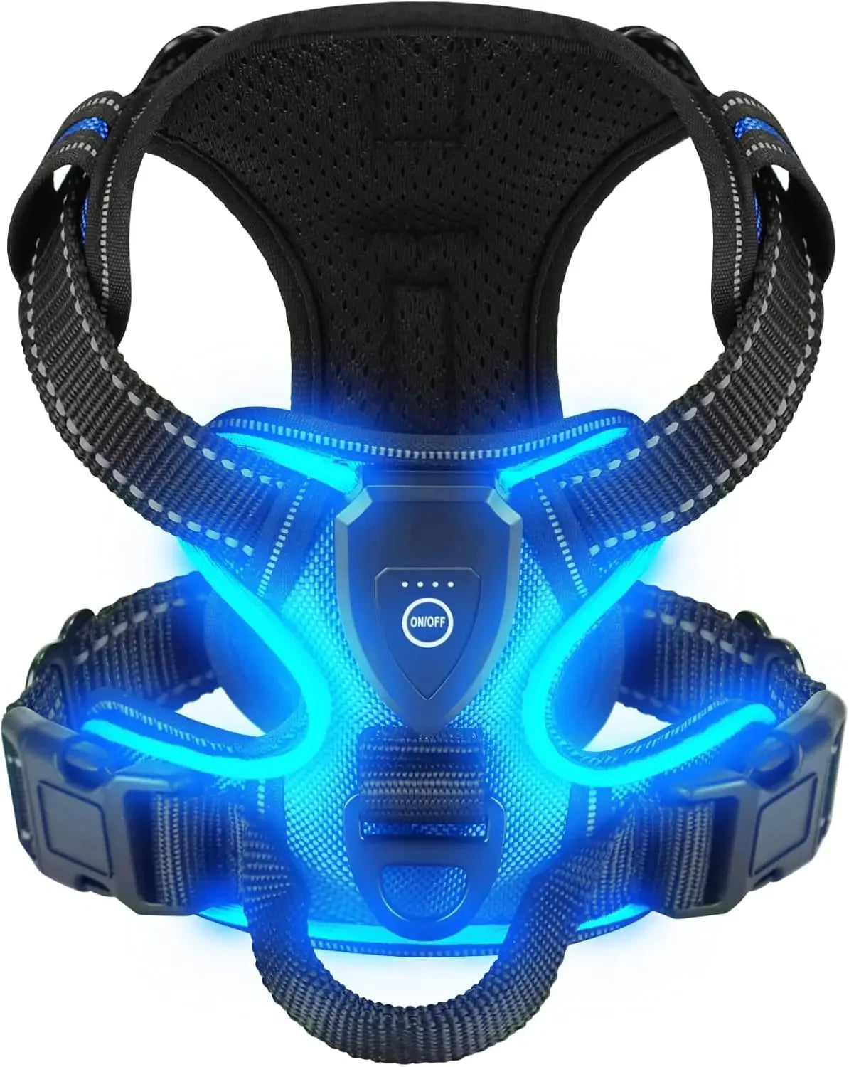 A Safer Way to Walk After Dark LED Dog Harness