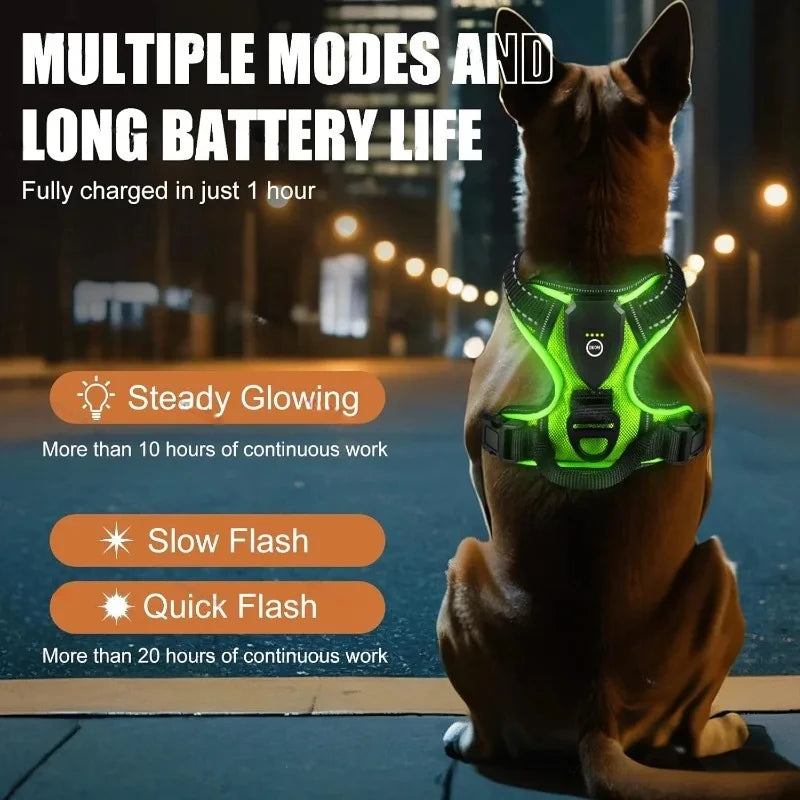 Illuminate Your Night Walks with Our LED Glowing Dog Harness - Three Light Modes for Ultimate Safety!