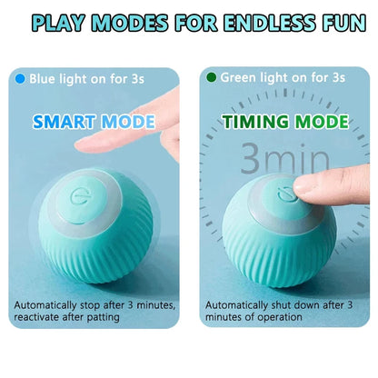 Engaging Interactive Cat Ball - The Ultimate Indoor Playtime Toy for Your Feline Friend